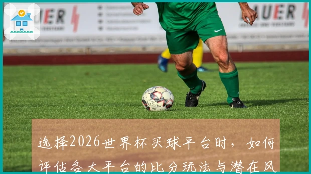 选择2026世界杯买球平台时，如何评估各大平台的比分玩法与潜在风险？