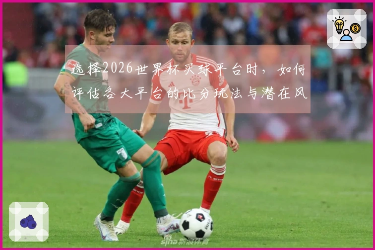 选择2026世界杯买球平台时，如何评估各大平台的比分玩法与潜在风险？