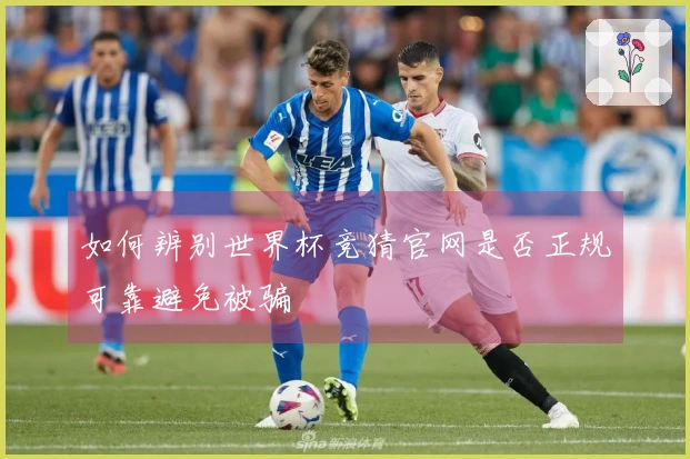 如何辨别世界杯竞猜官网是否正规可靠避免被骗