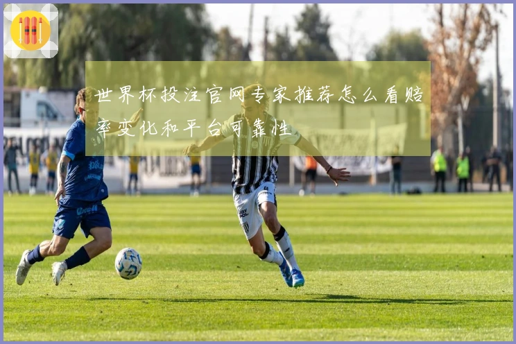 世界杯投注官网专家推荐怎么看赔率变化和平台可靠性
