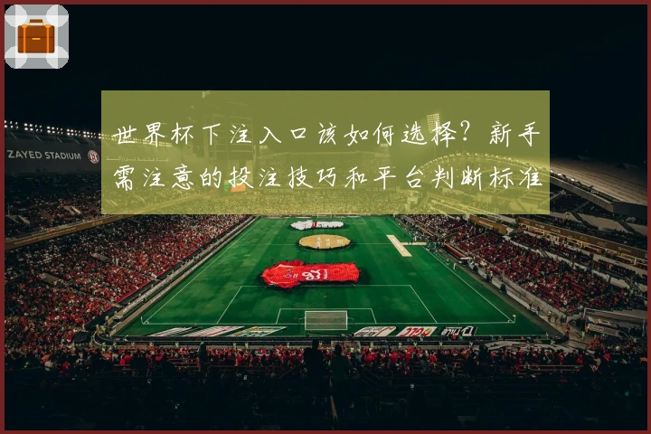 世界杯下注入口该如何选择？新手需注意的投注技巧和平台判断标准